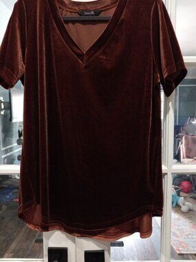 AMARYLLIS 1X Velour brown V neck top